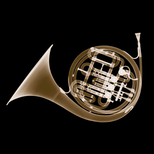 nick_veasey_french_horn_coultique