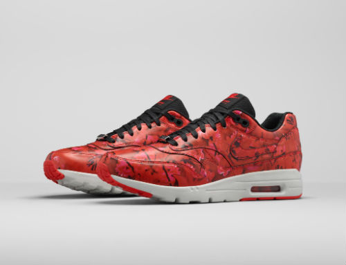 bouquet_of_max_nike_air_max_1_ultra_city_collection_13_coultique