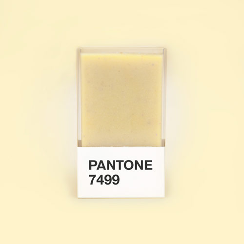 hedvig_astrom_kushner_pantone_smoothies_7499_03_coultique