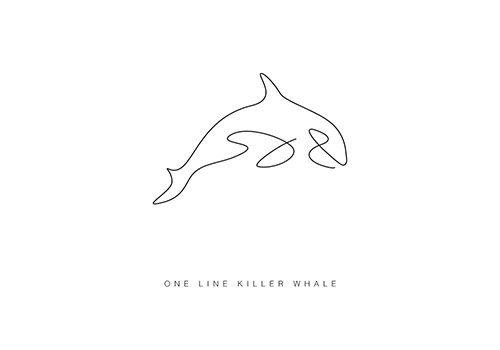 differantly_oneline_killer_whale_coultique