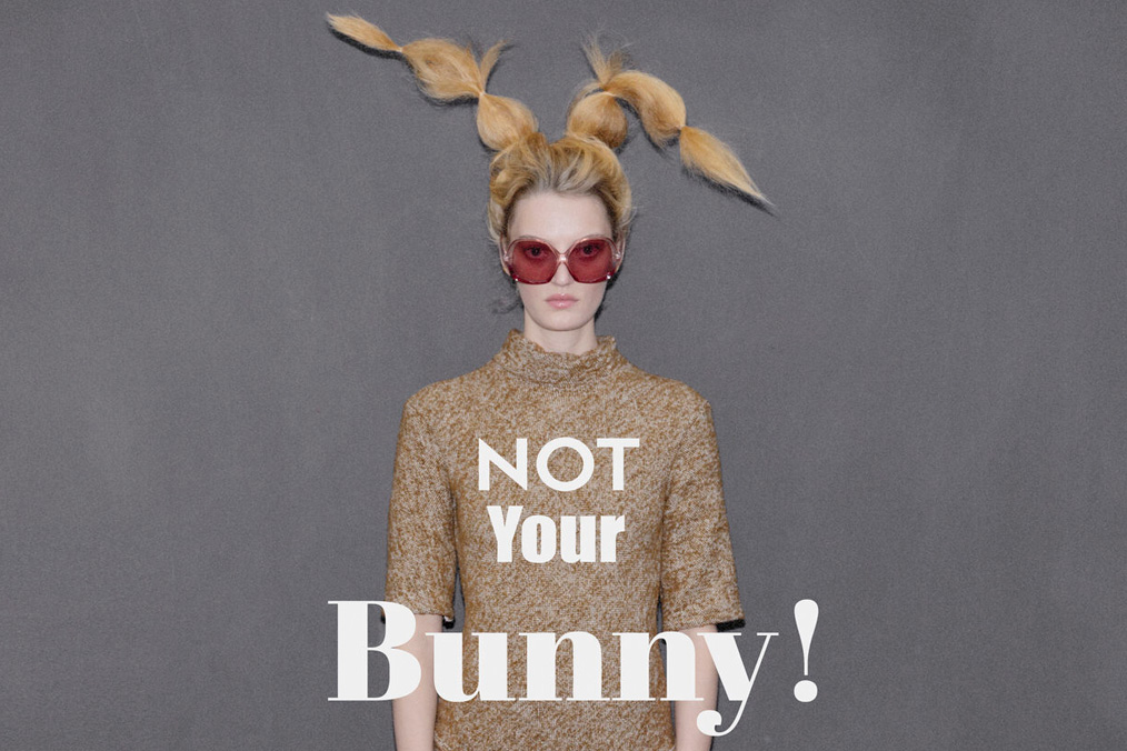 Monica Menez – Not your bunny